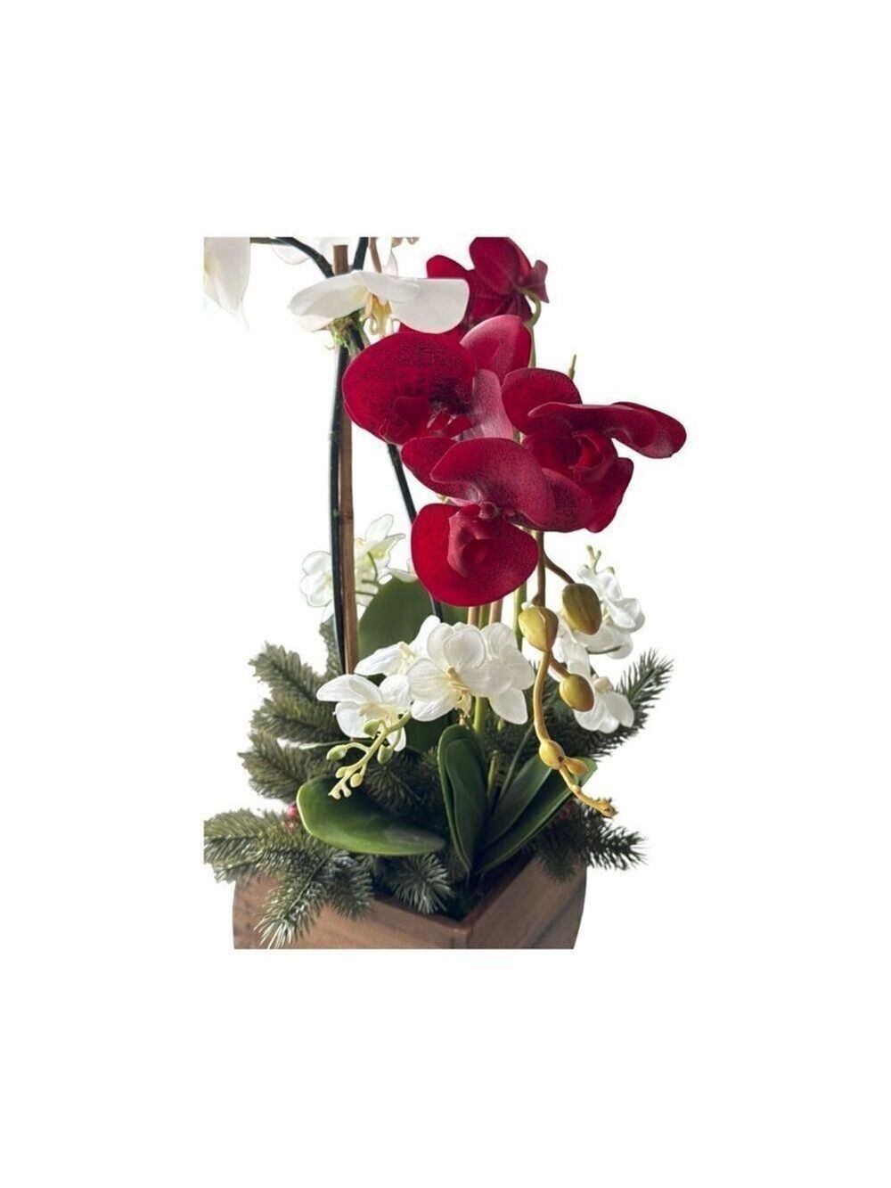 Elegant Holiday Orchid Arrangement